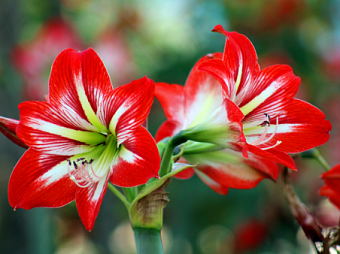 Runde und halbrunde Geburtstage